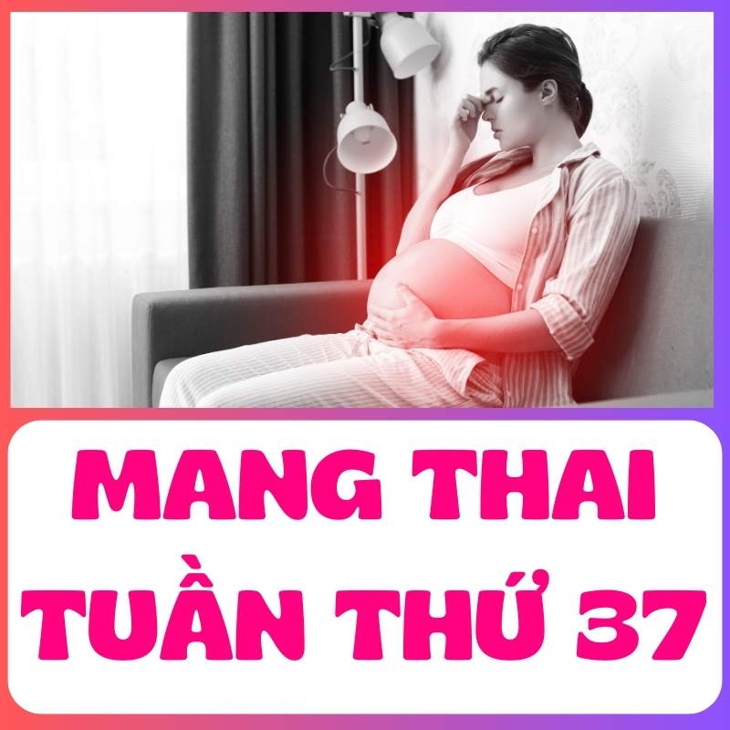 Các triệu chứng của mẹ bầu tuần thứ 37 thai kỳ